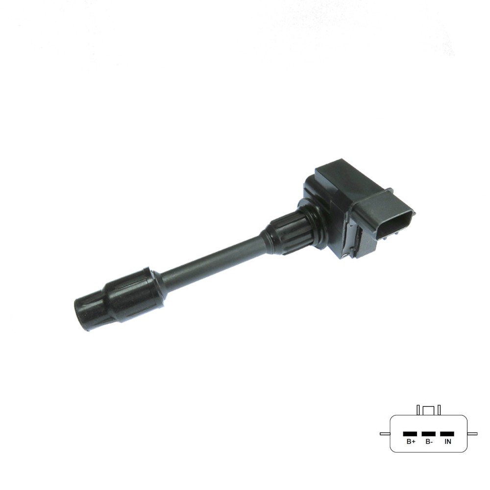 GC4482_IMG2
