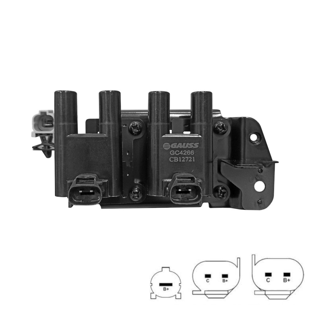 GC4266_IMG2