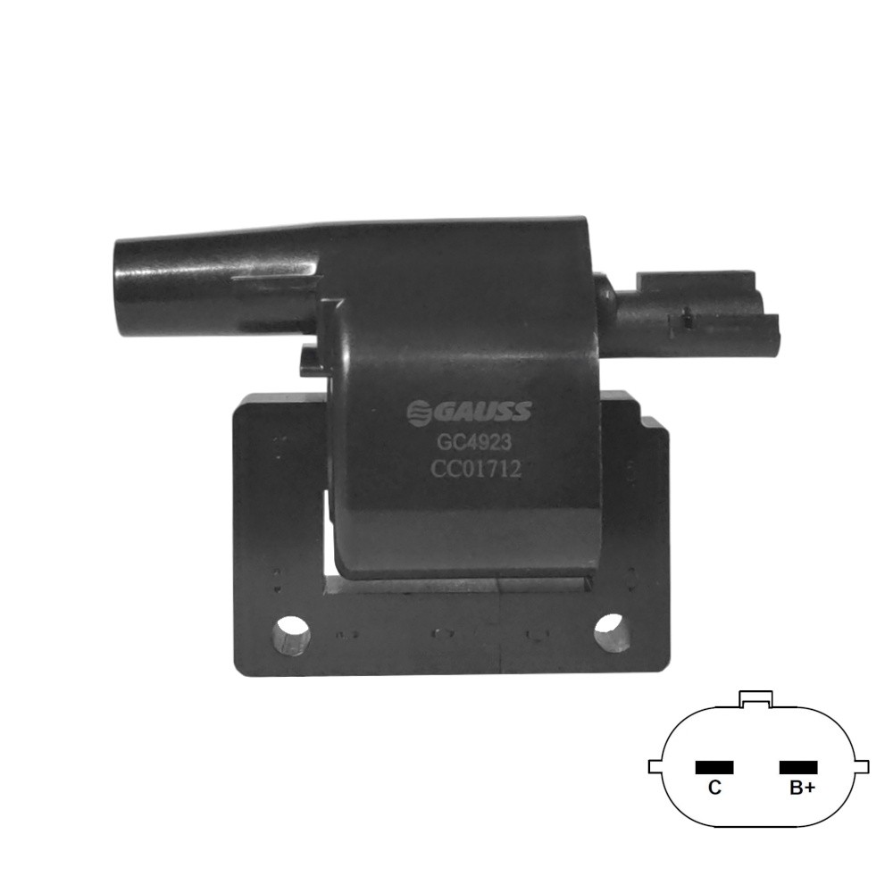 GC4923_IMG2