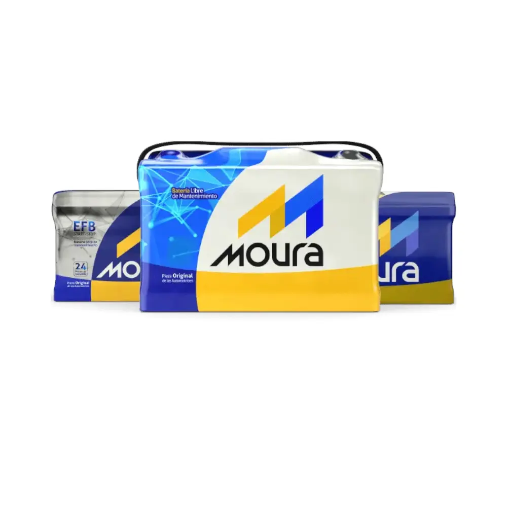 Z.MOURA.1.webp