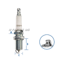 RC10YC4_IMG1