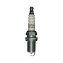 RC10PYPB4_IMG1