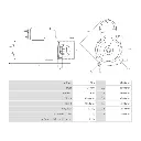 69619.webp