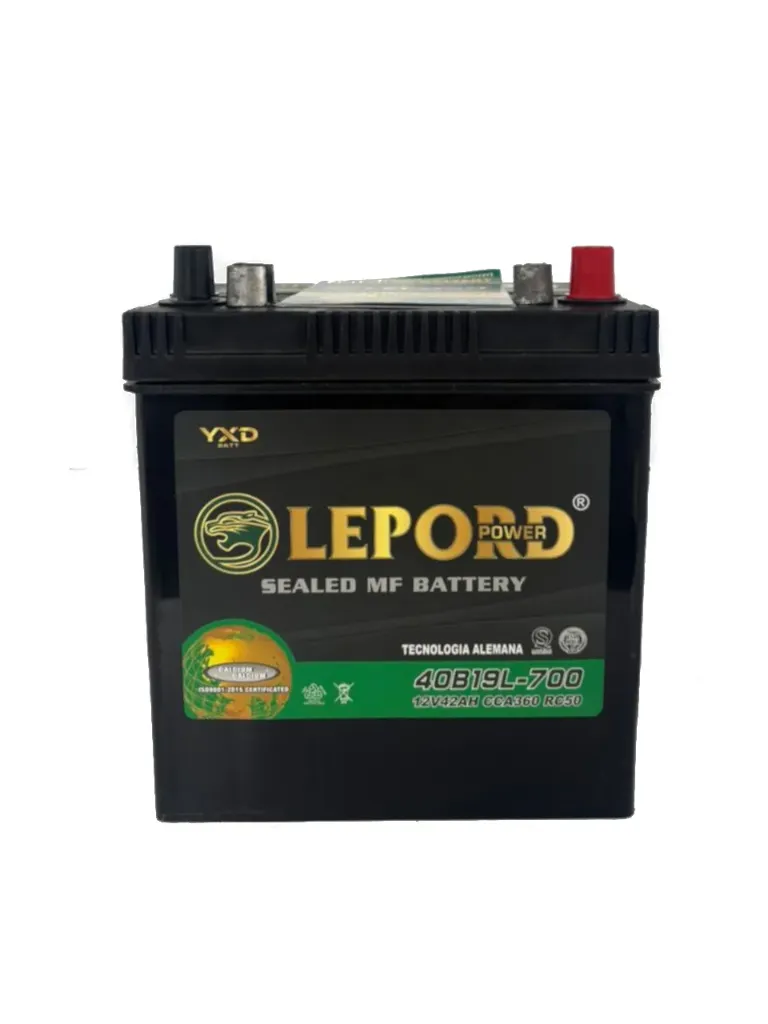 [LPD001] Bateria Lepord Ns40d 700