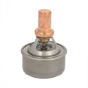 TERMOSTATO VERNET 4495.89 RENAULT TWINGO REF. 4495.89