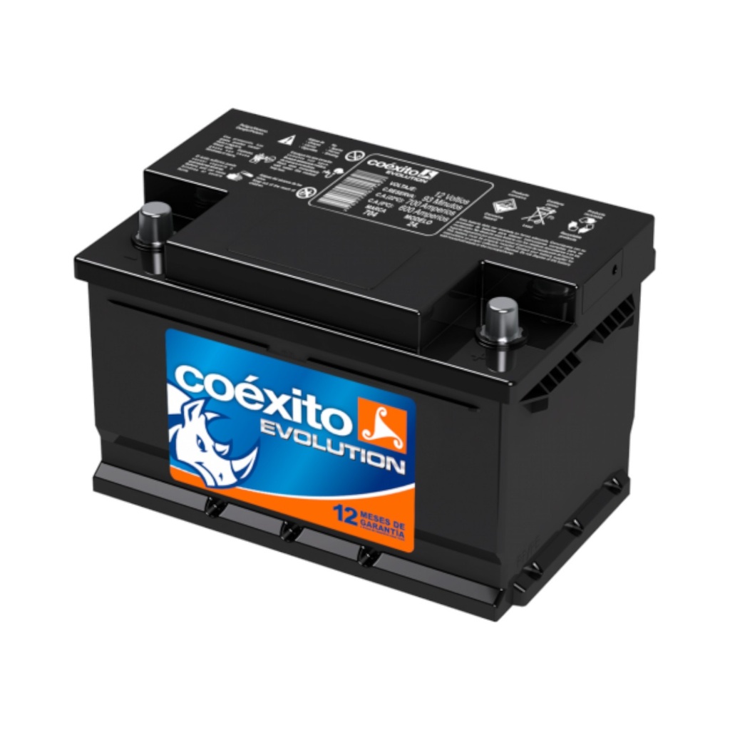 [48I830] BATERIA COEXITO 48I 830 REF. 48I830