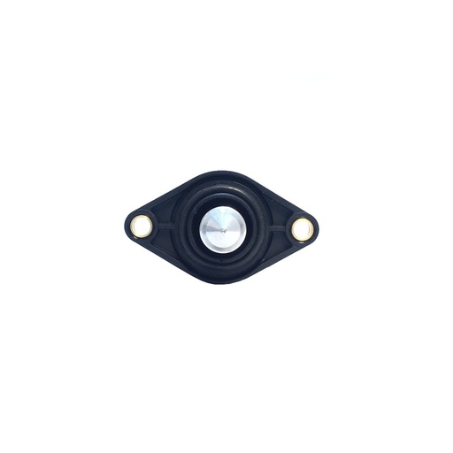 [F00099M177] VALVULA IAC COMPATIBLE RENAULT LOGAN SANDERO 8V F00099M177 REF. F00099M177